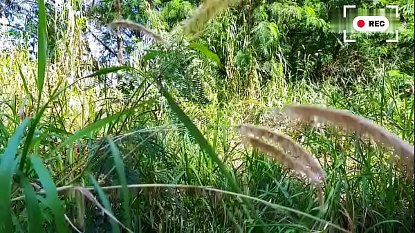 Workers fucking inside the bush hidden from the bosses. - EXCLUSIVES ON SHEER.COM