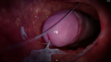 Harter Sex mit einem Freund in verschiedenen Posen, Animation aus dem Spiel