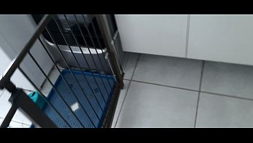 Vivi Guedez my pc broke what do I do?