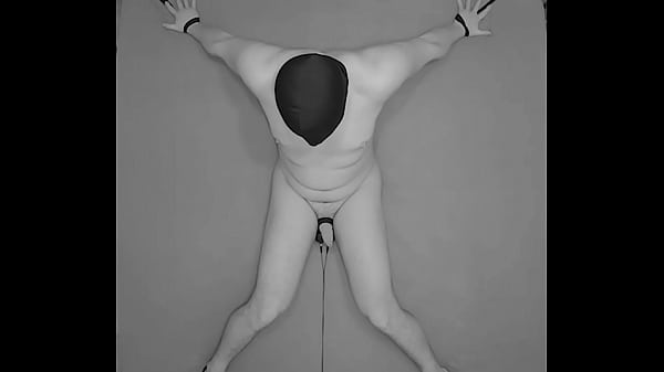 1 STUNDE Elektrostimulation der Hoden