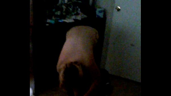 Cheyenne steen blowing crossen