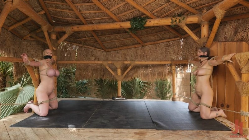 Syren de Mer & Dee Williams (Liebling) zwei wunderschöne gefangene Mütter))